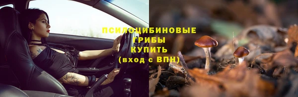 скорость Абаза